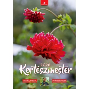 Kertszmester falinaptr
