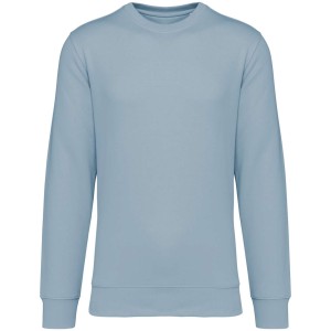 Native Spirit Drifter pulver, Aquamarine