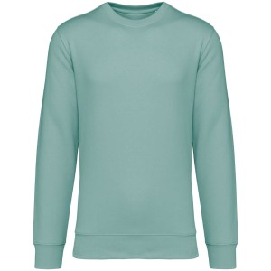 Native Spirit Drifter pulver, Jade Green