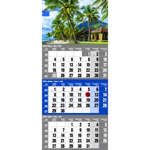 Speditr (12 lapos), tztt fejlappal