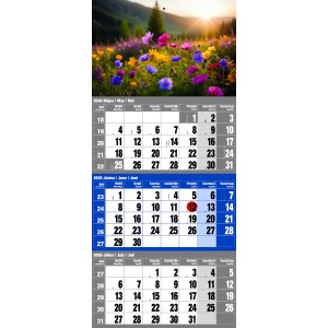 Speditr (12 lapos), tztt fejlappal, Virgok